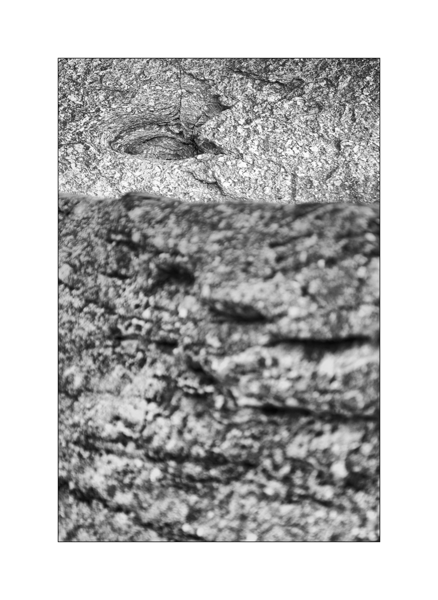 Cas10D4F_1497.jpg