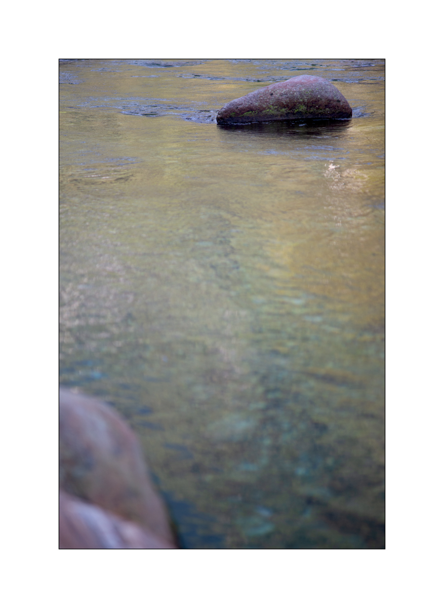 Cas10D4F_1518.jpg
