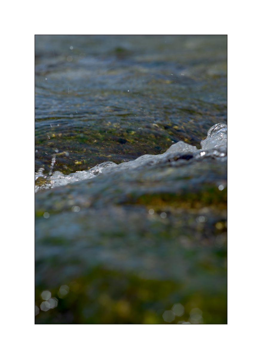 Cas10D4F_1539.jpg