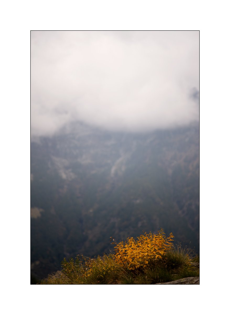 Cas10D4F_1588.jpg