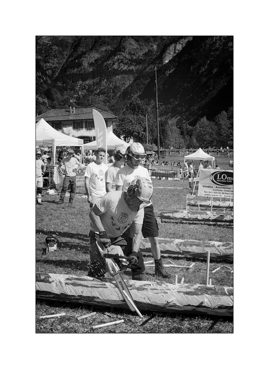 CasDSC_2439.jpg