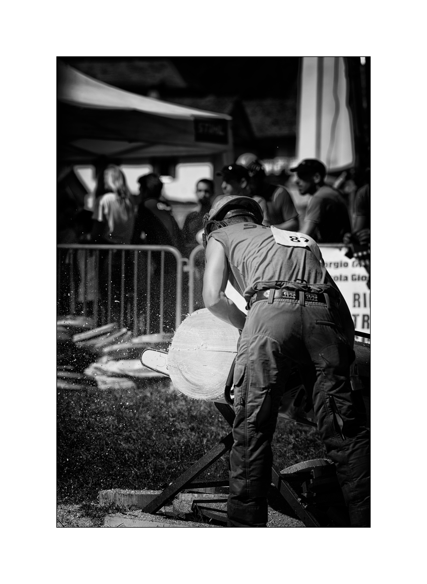 CasDSC_2450.jpg