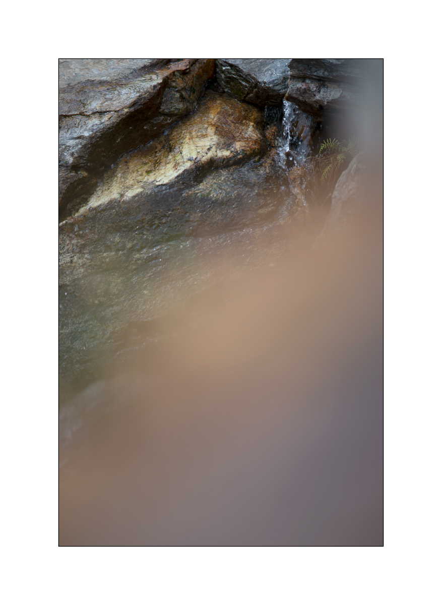CasDSC_2521.jpg