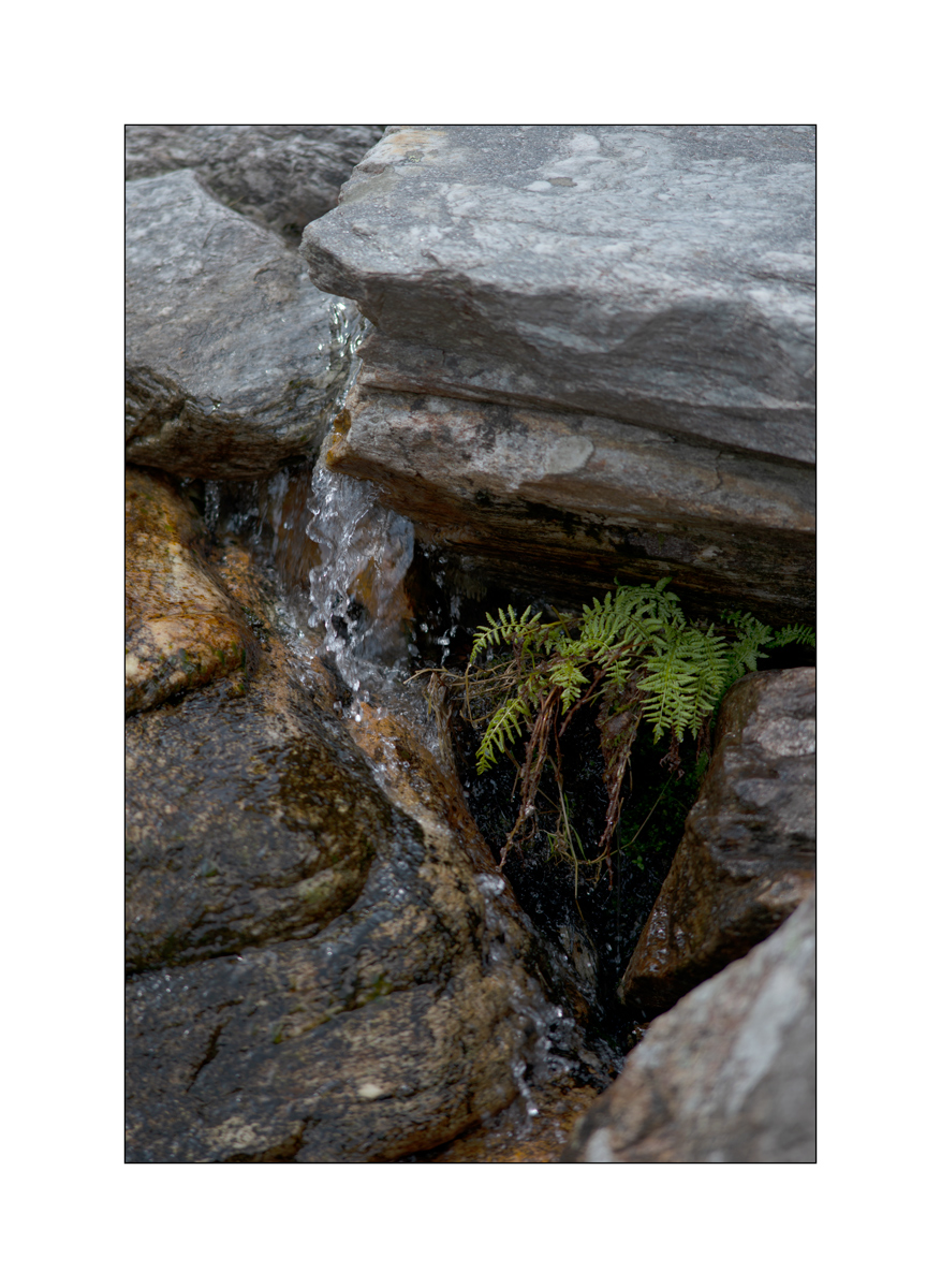 CasDSC_2525.jpg