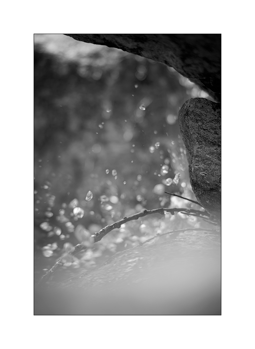 CasDSC_2555.jpg