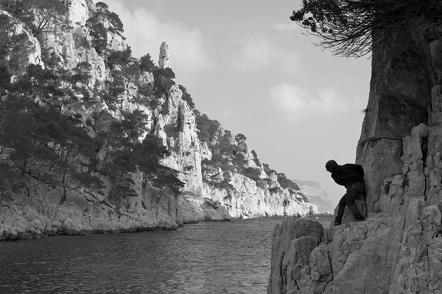 cassis