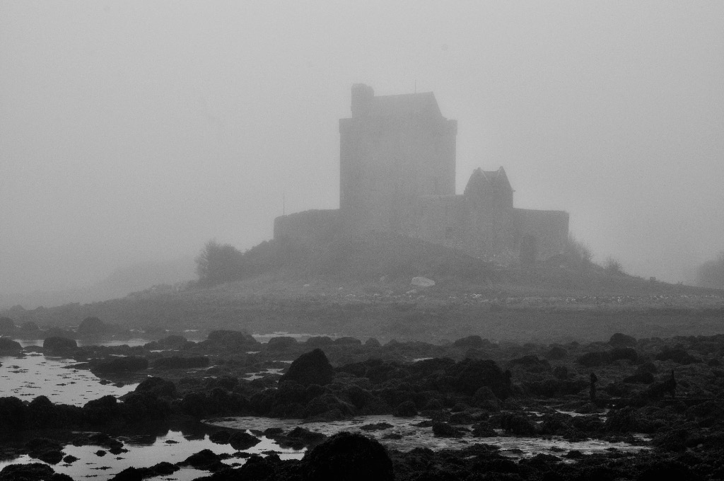 castlefognff