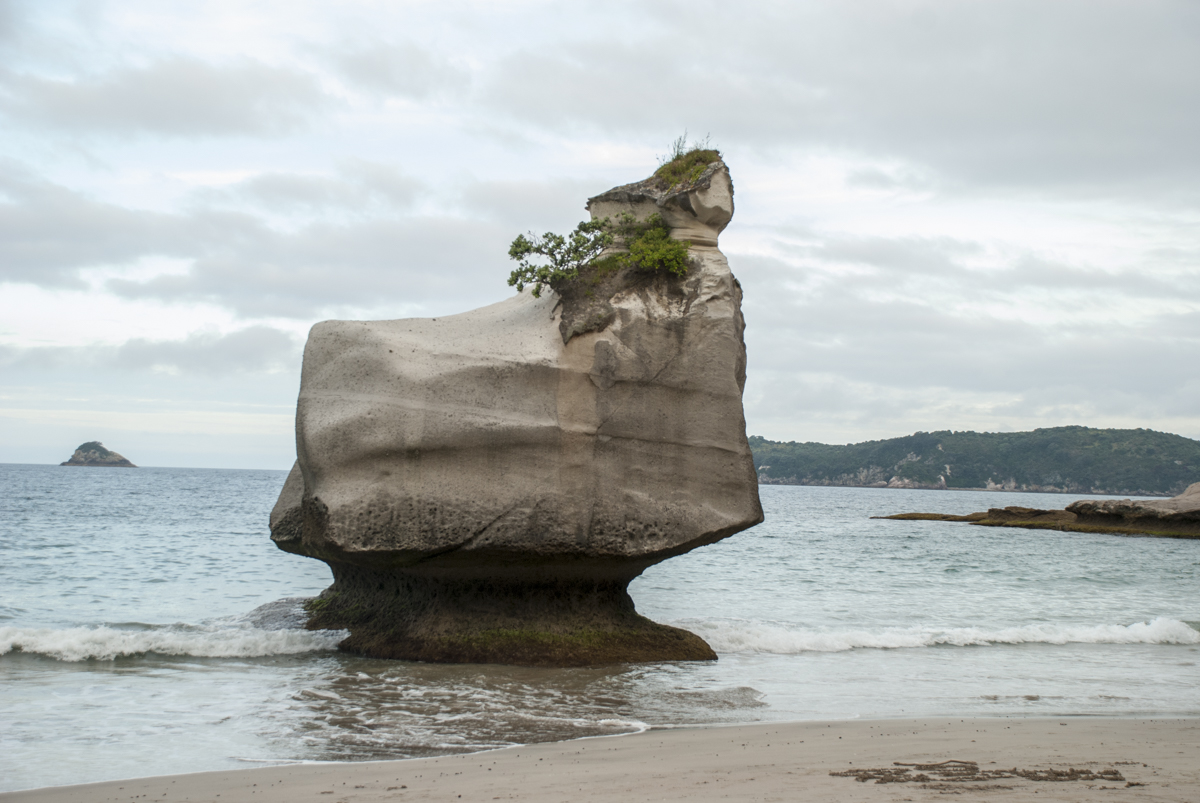 Cathedral Cove Beach.jpg