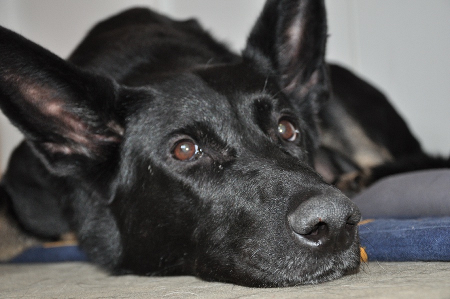 Caya Portrait