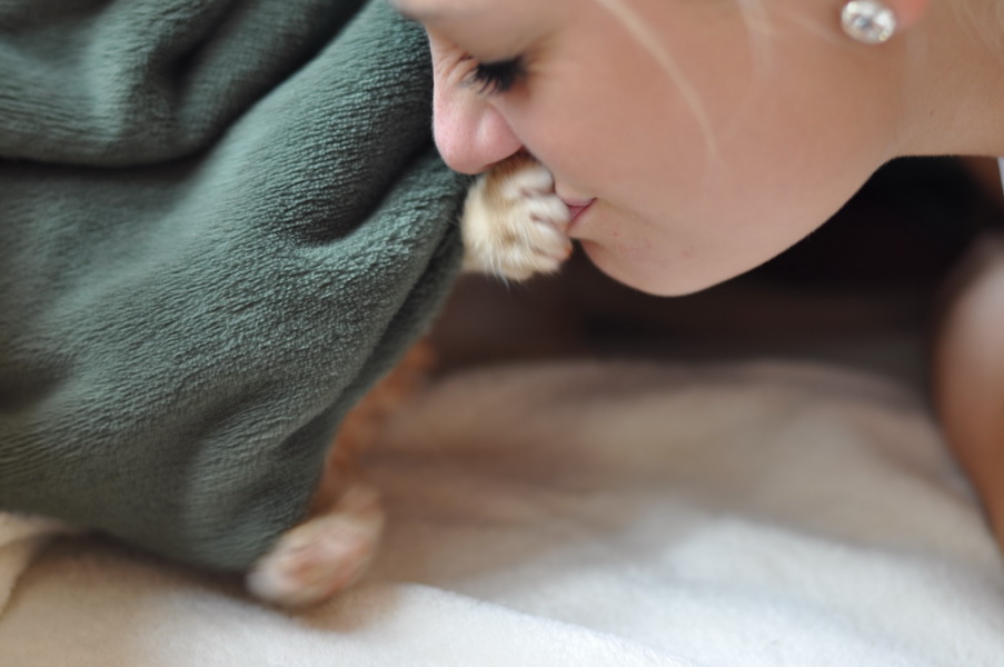 cb 110901 0017 cat nff