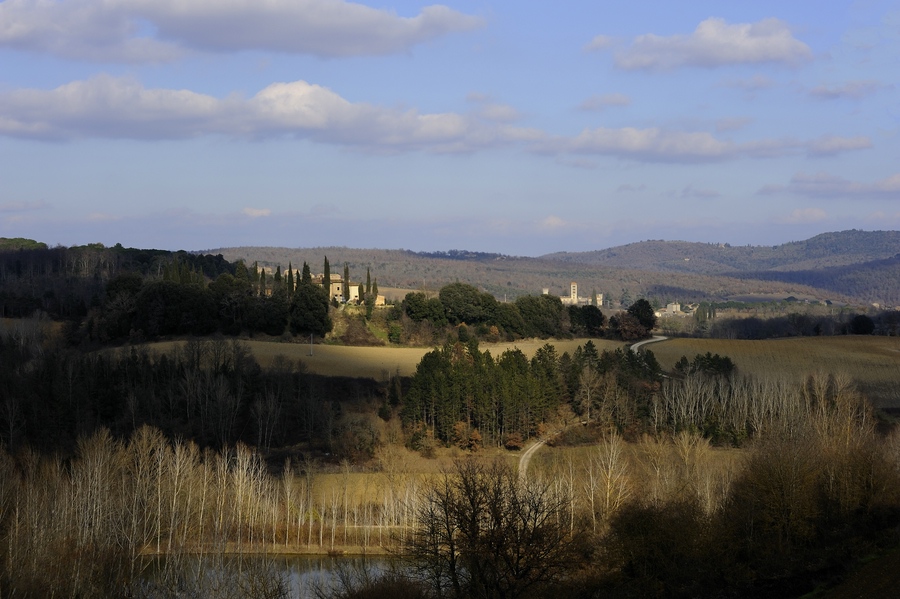 Chianti #2