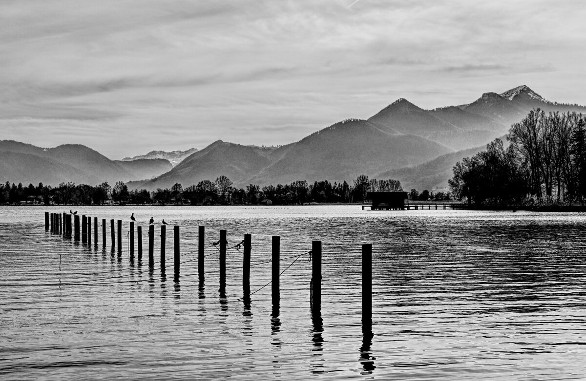 Chiemsee.jpg