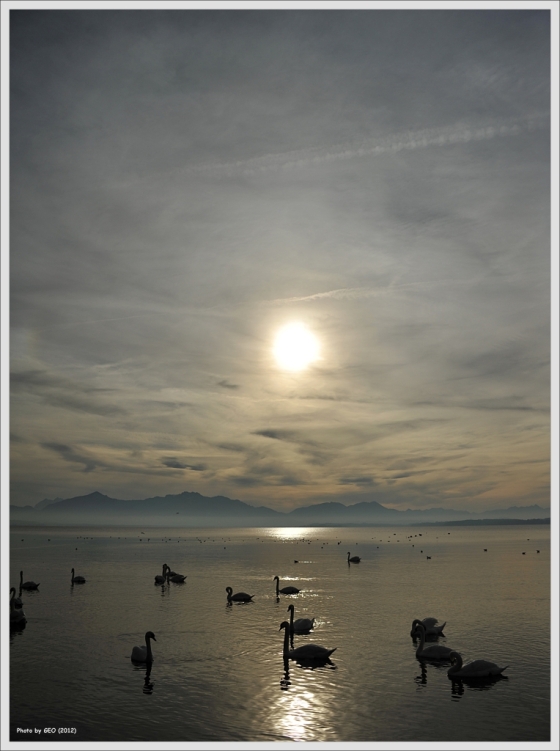 Chiemsee

(Nikon D700 / Nikkor 28-85mm)

Der Copyright-Hinweis steht drauf, weil die Aufnahme noch anderswo veröffentlicht ist. GEO ist der Anfang mei