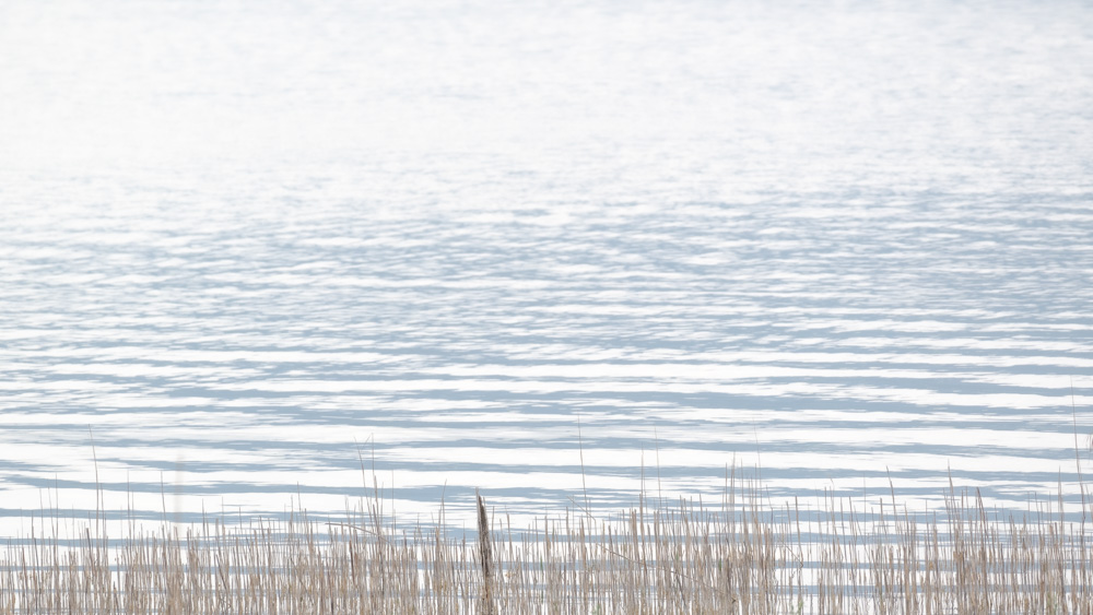 Chiemsee