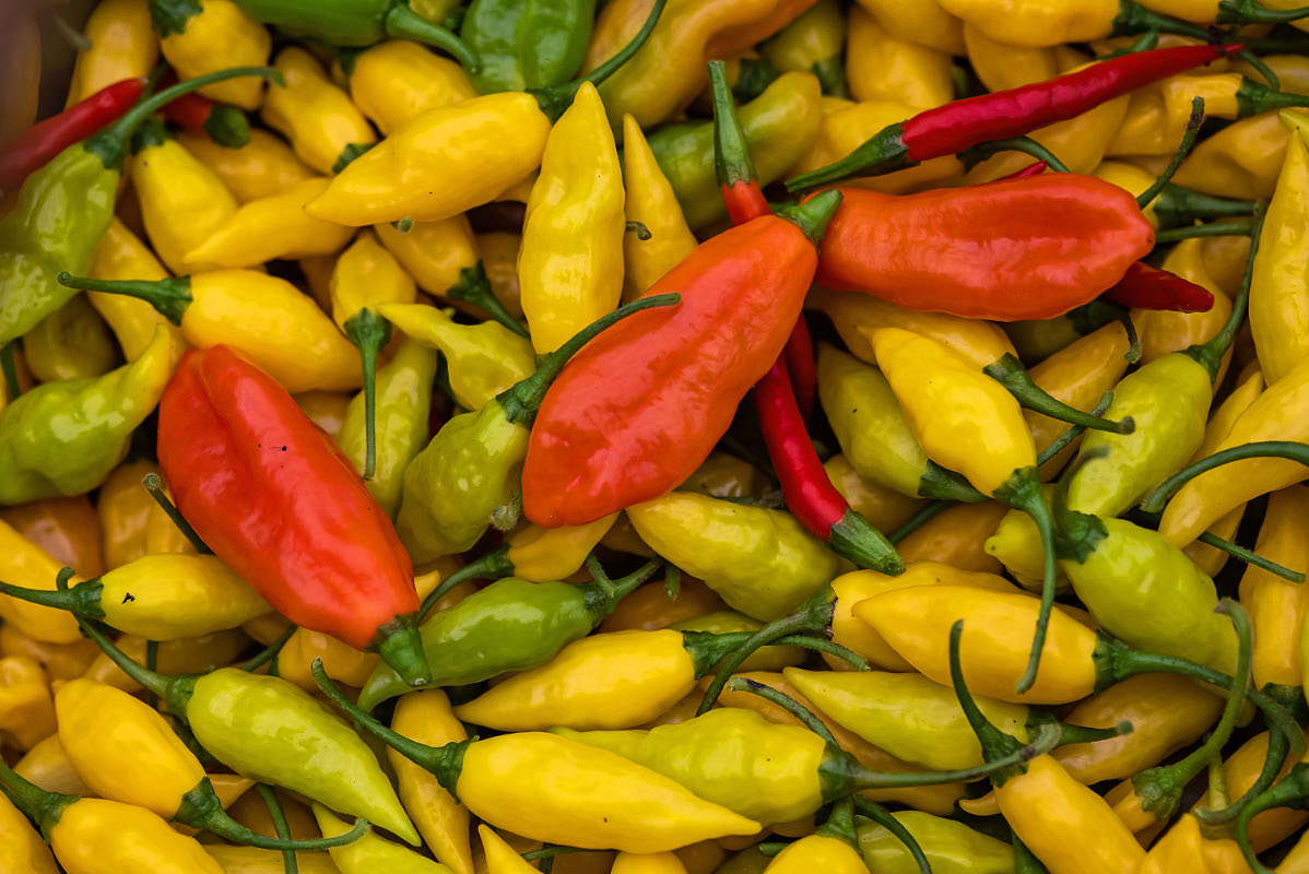 Chiliernte 22.jpg