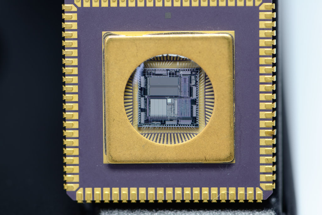 Chip 1024w
