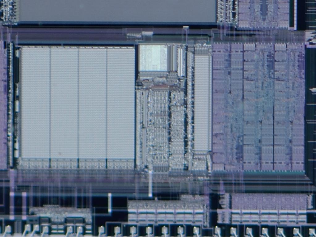 Chip Cropa 1024w