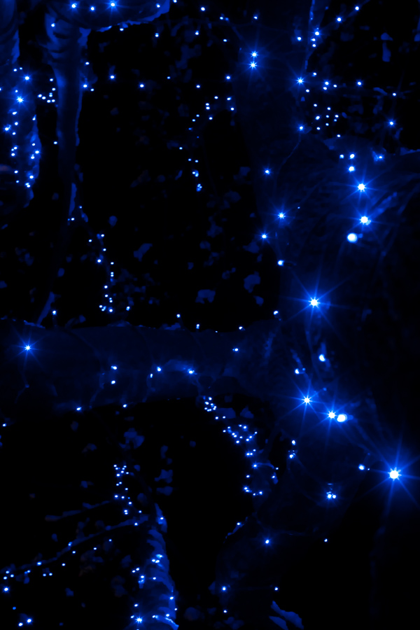 CHL0457a
