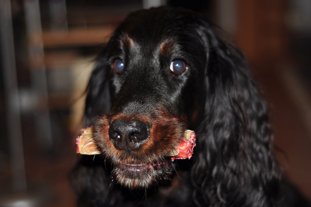 Ciara 8 Jahre