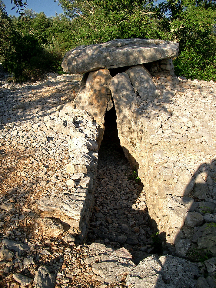 cimg0020.jpg