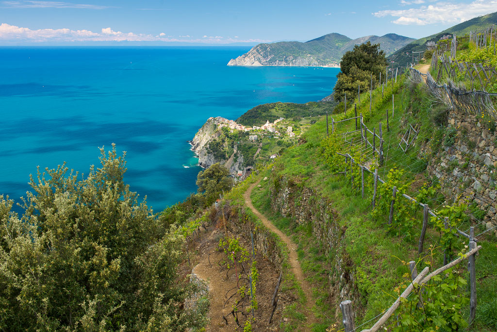 Cinque Terre 6856