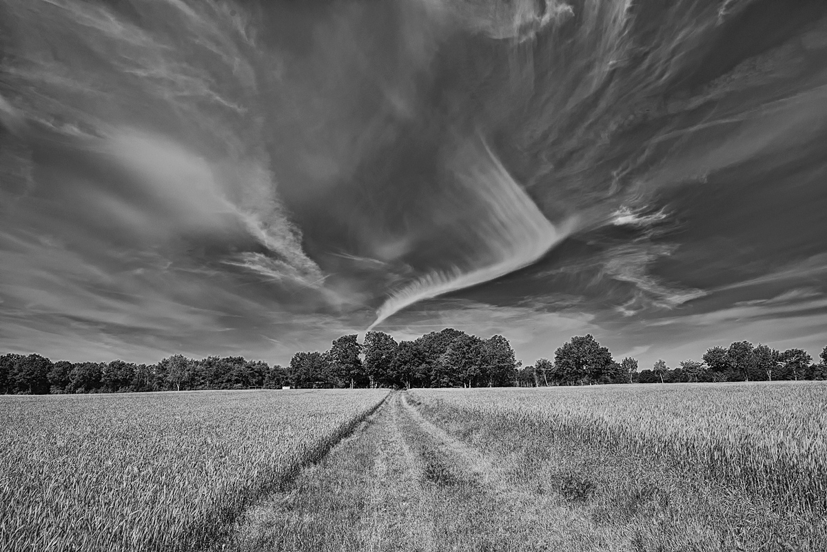 Cirrus 1.jpg