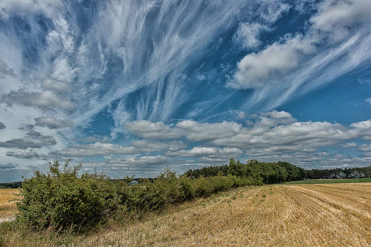 Cirrus (1 von 1).jpg