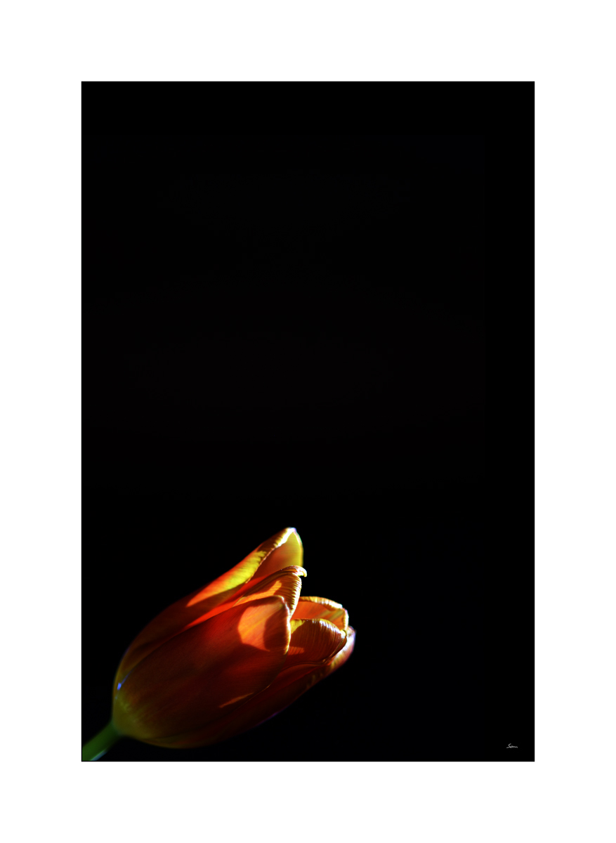 ClaudiaPZ1 9806 00001