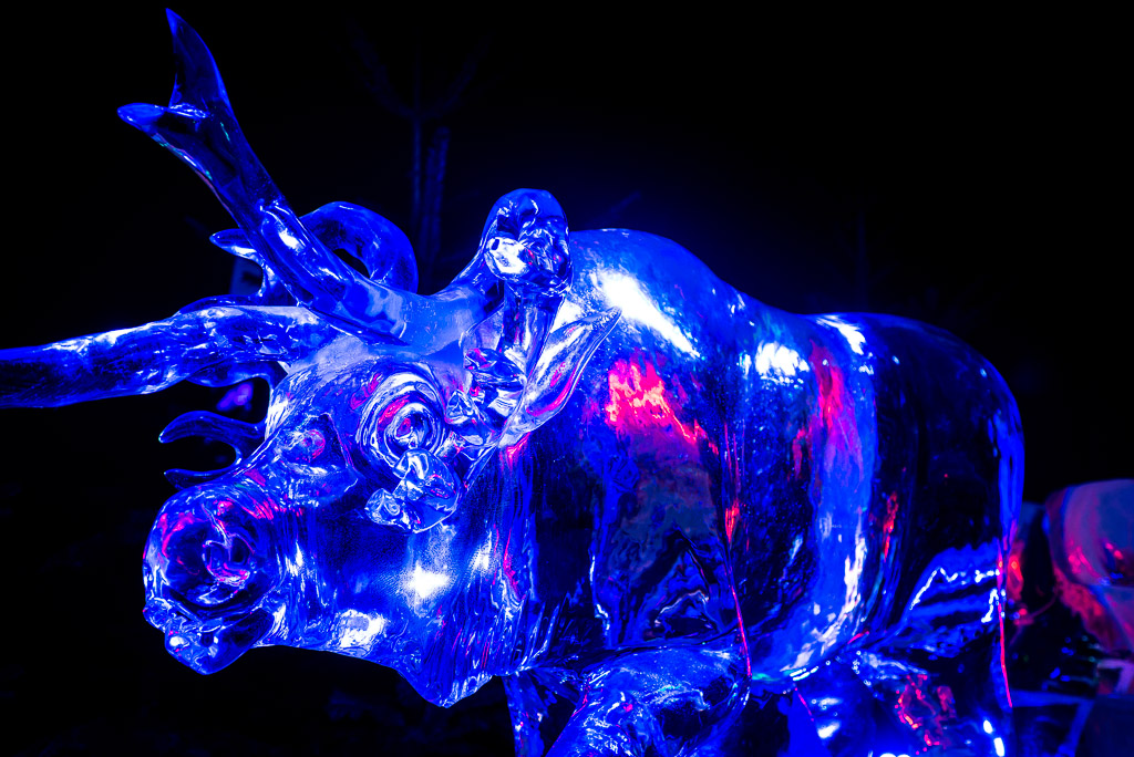 Cold as Ice 4394