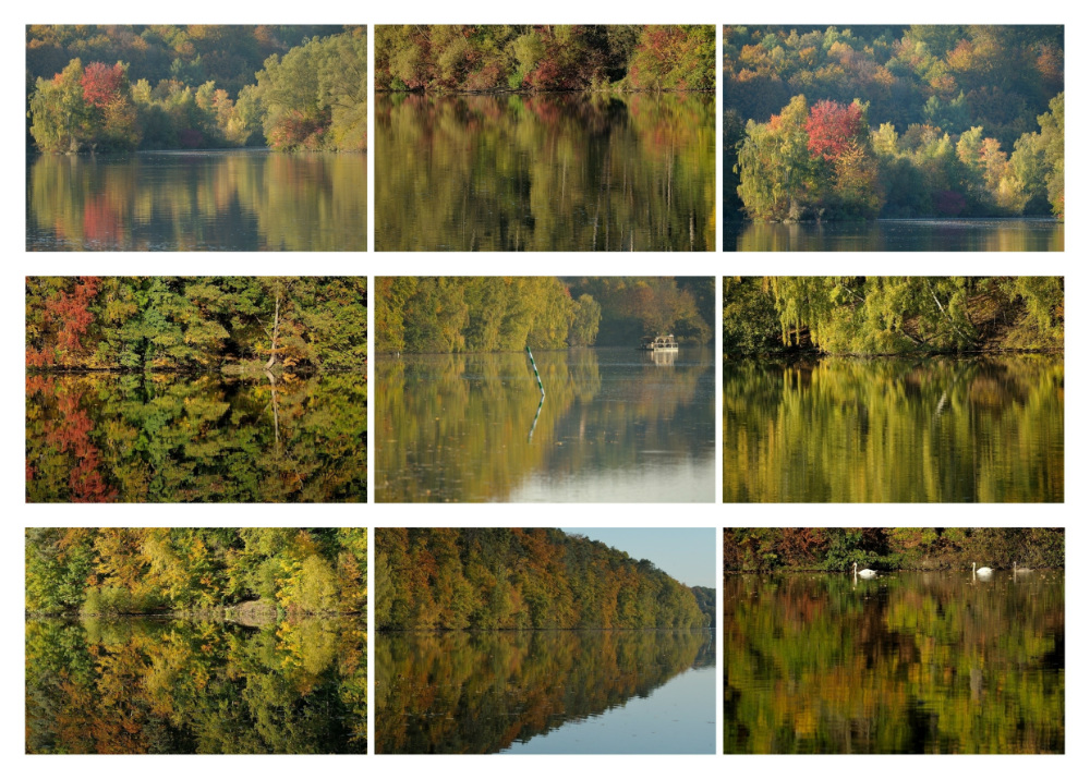 Collage 12a