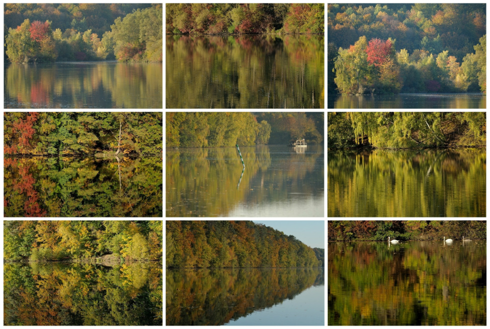 Collage test13a