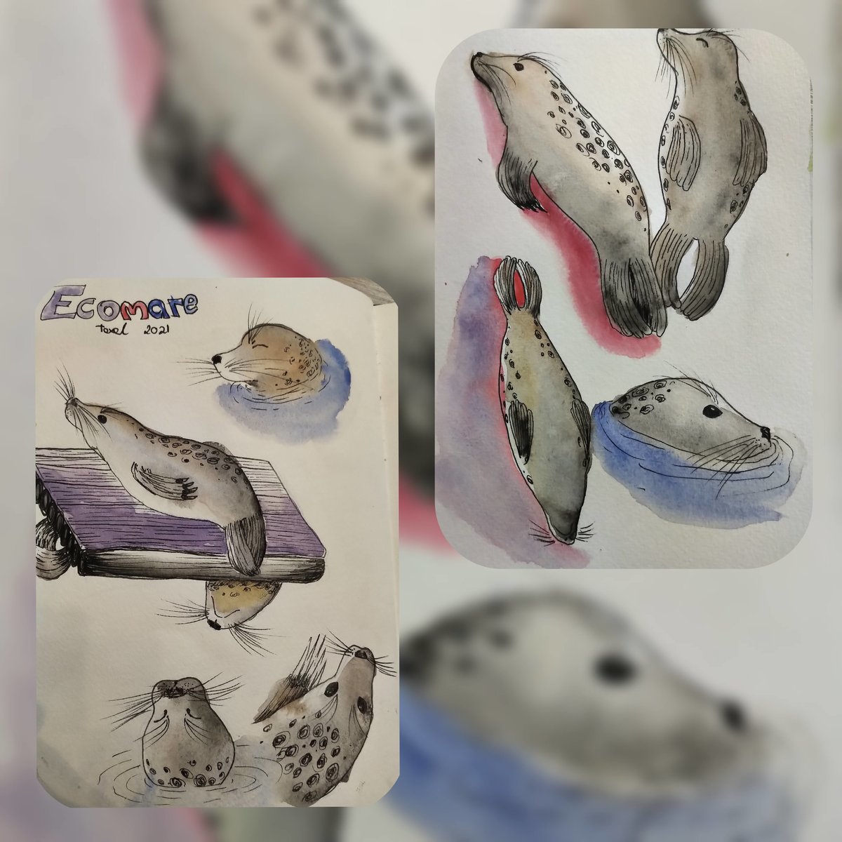 CollageMaker_20210920_195957546.jpg