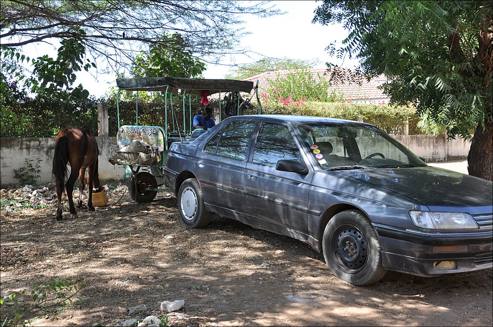 comp 0Senegal 3 351b
