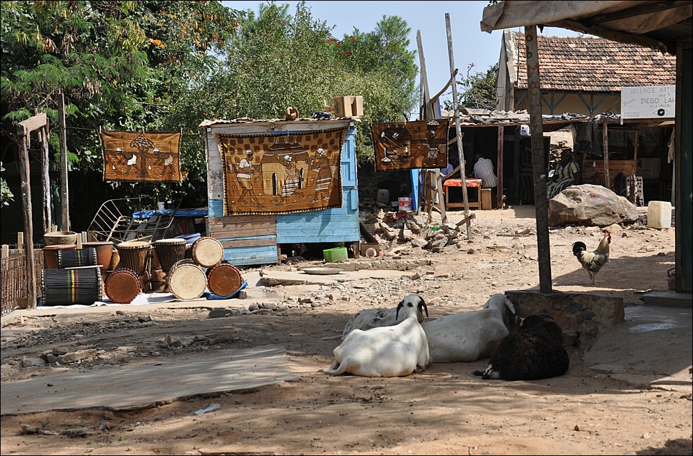comp 1Senegal 3 254b
