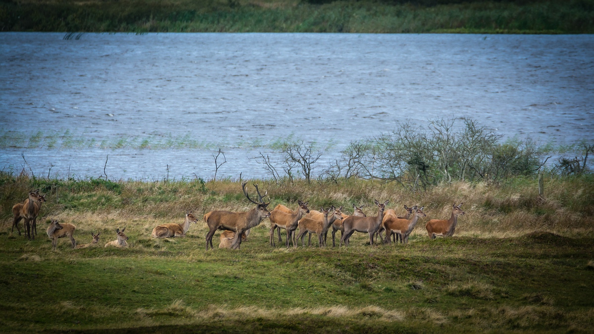 comp 20170912 DSC 6418 21