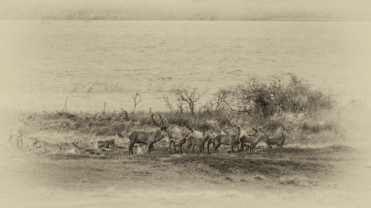comp 20170912 DSC 6418 Bearbeitet