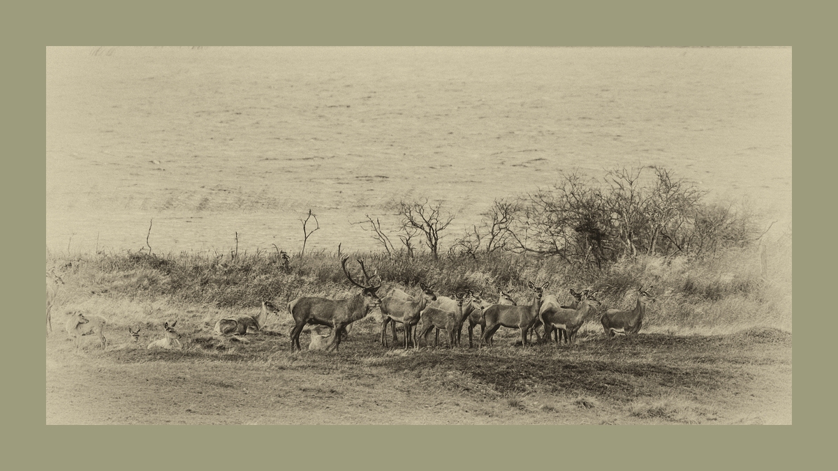 comp 20170912 DSC 6418 Bearbeitet1