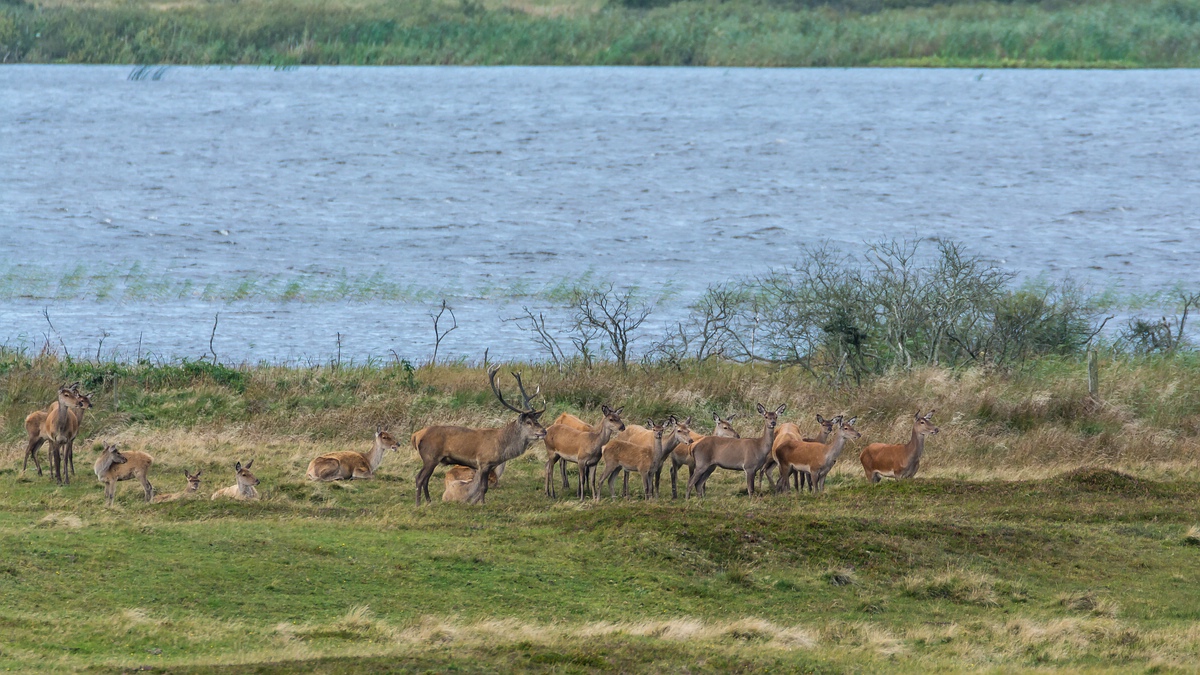 comp 20170912 DSC 6418