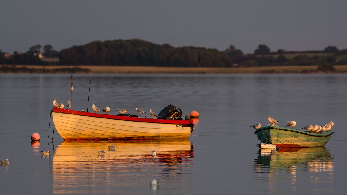 comp 20170918 DSC 65881