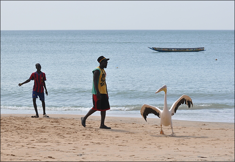 comp 3Senegal 1 369b