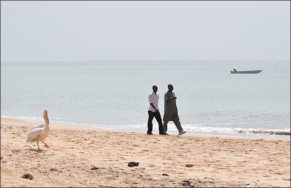 comp 4Senegal 1 398b