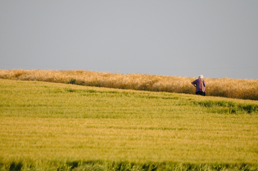comp Alte Bäuerin am Feld farbig