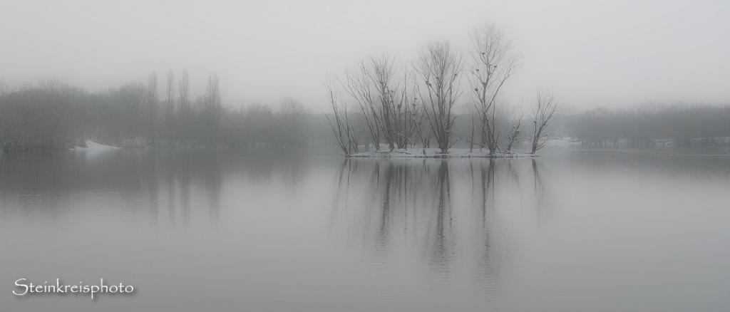 comp Am See
