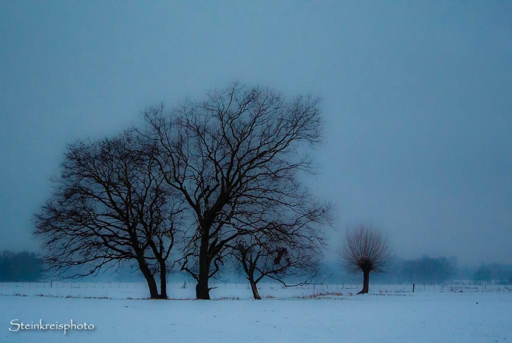comp Blaue Stunde