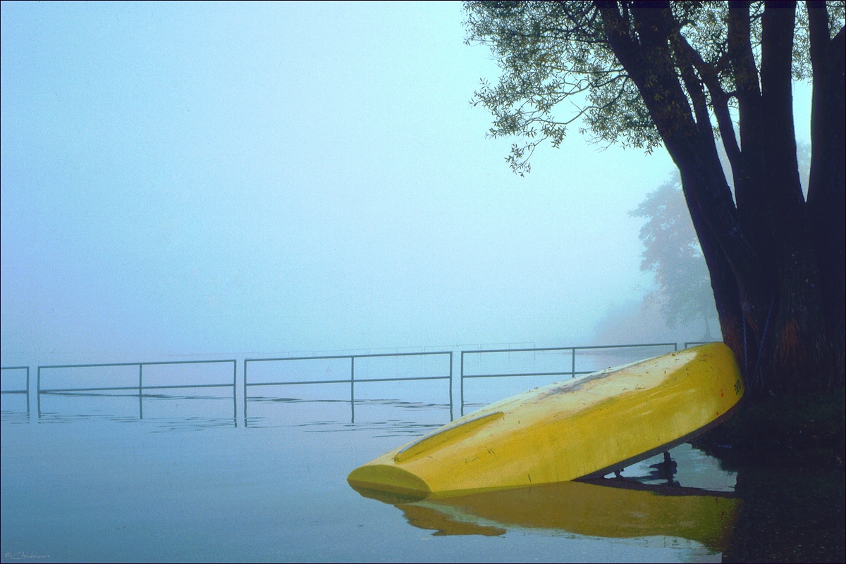 comp Boot an Baum Kodachrome