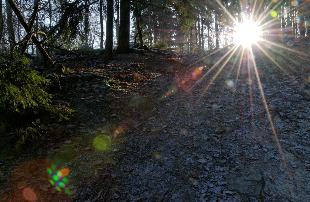 comp D30 4661 90 raw