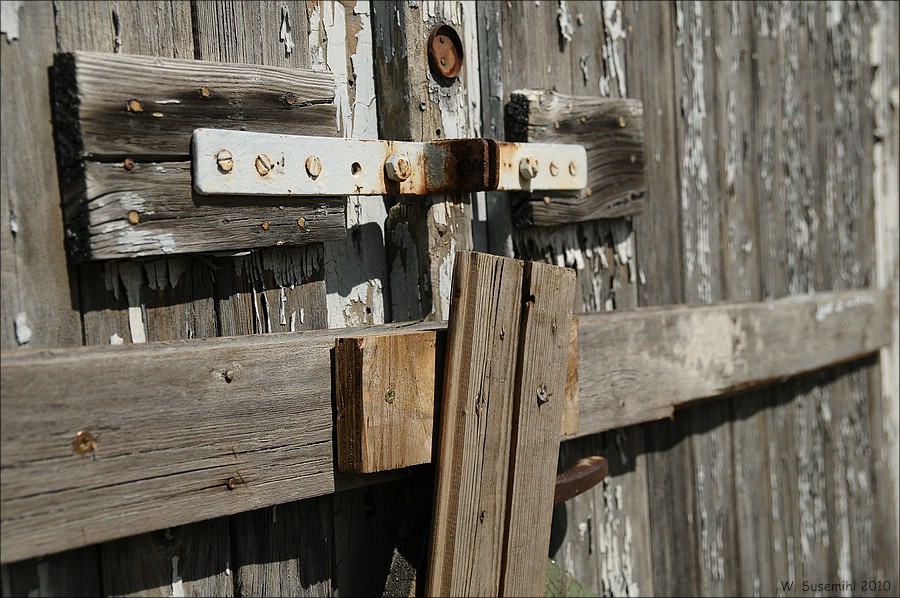 comp D31 5643
