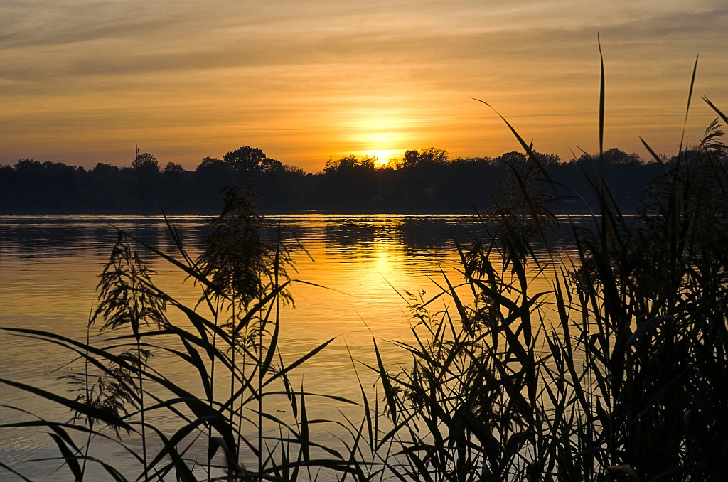 comp D7T 3197KontrOVL LumSh noi Shad

Sunset am Scharmützelsee Landkreis Oder Spree
Oktober 2012

Objektiv:  Tamron SP AF 17-50mm F/2.8 XR Di II VC