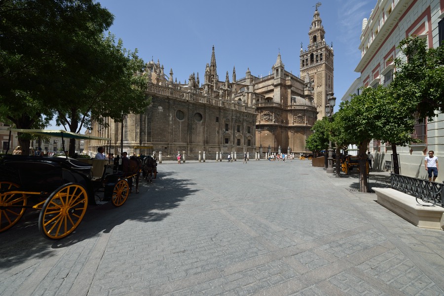 comp D800 4347