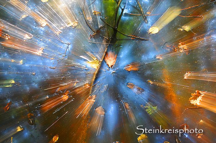 comp Der Herbst kommt mit Macht